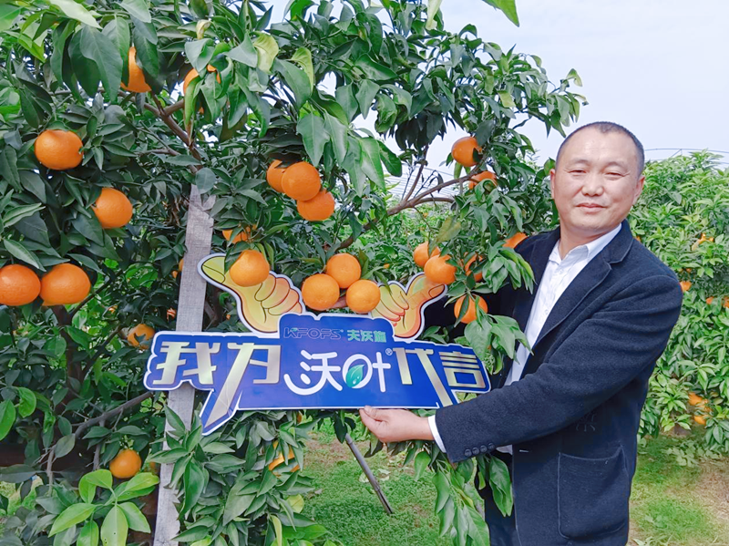 柑橘樹用什么肥料好？