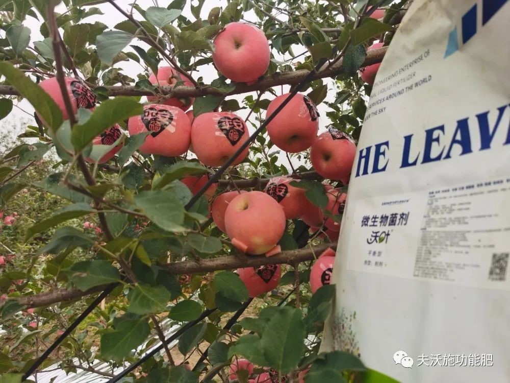 什么肥料能讓土壤變松？