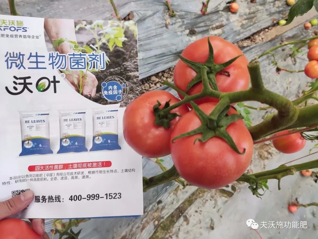 微生物菌劑選哪家？