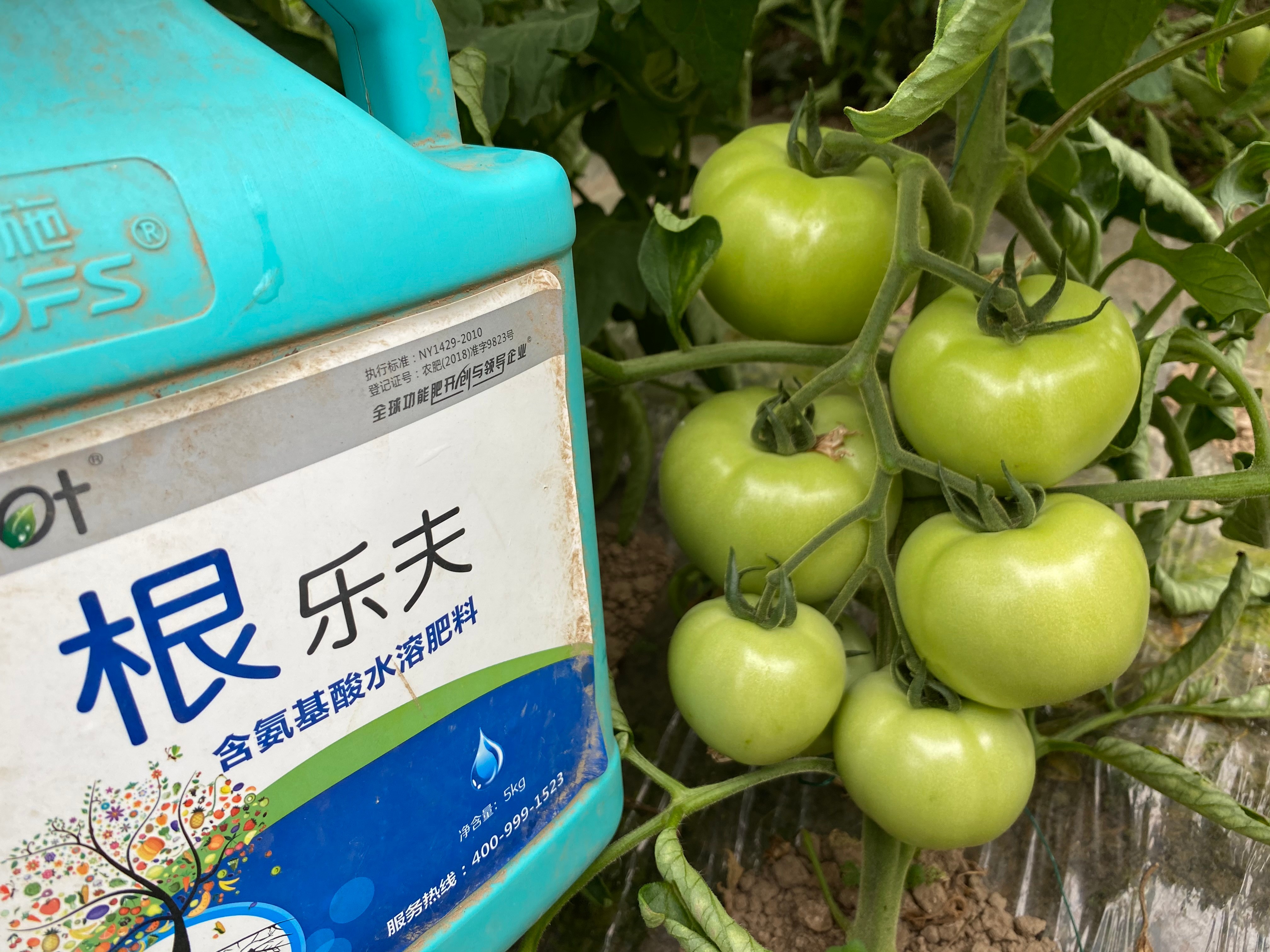 生根劑效果好不好？