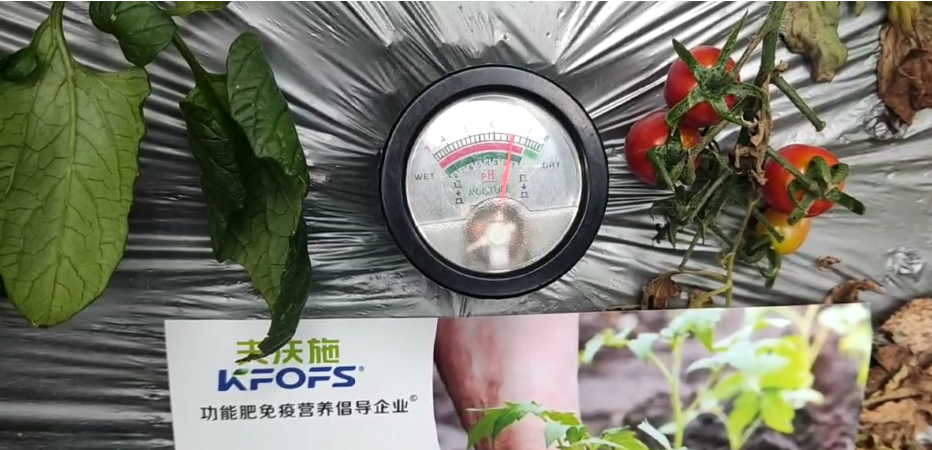 微生物菌劑，為什么被越來(lái)越多的人選擇？