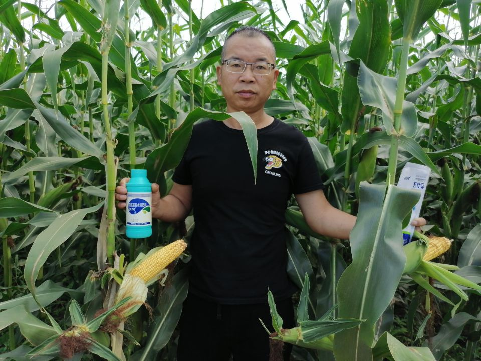 葉面肥哪個好？照著選錯不了