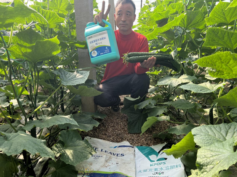 種植蔬菜用什么肥料最好？?jī)蓚€(gè)解決，兩個(gè)方案