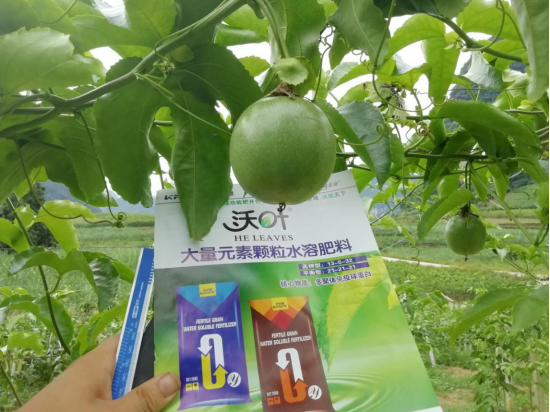 顆粒水溶肥品牌，跟著這樣選！