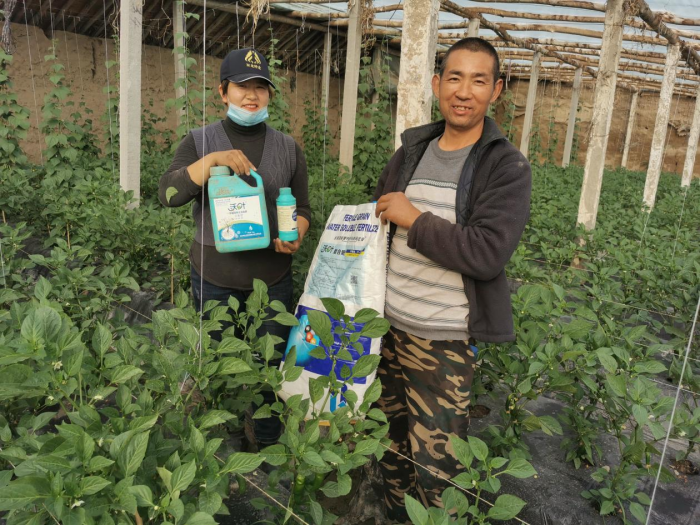 蔬菜施什么肥長(zhǎng)得快又好？專(zhuān)業(yè)分析