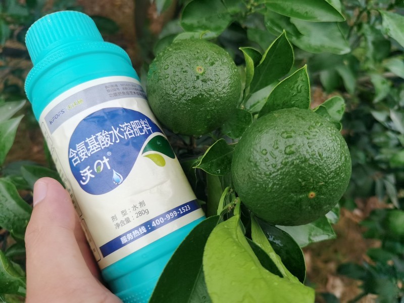 解密植物對氨基酸的吸收原理，夫沃施掌握氨基酸水溶肥核心科技