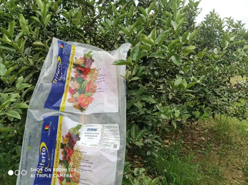 水溶肥效果好不好？榮大姐告訴你