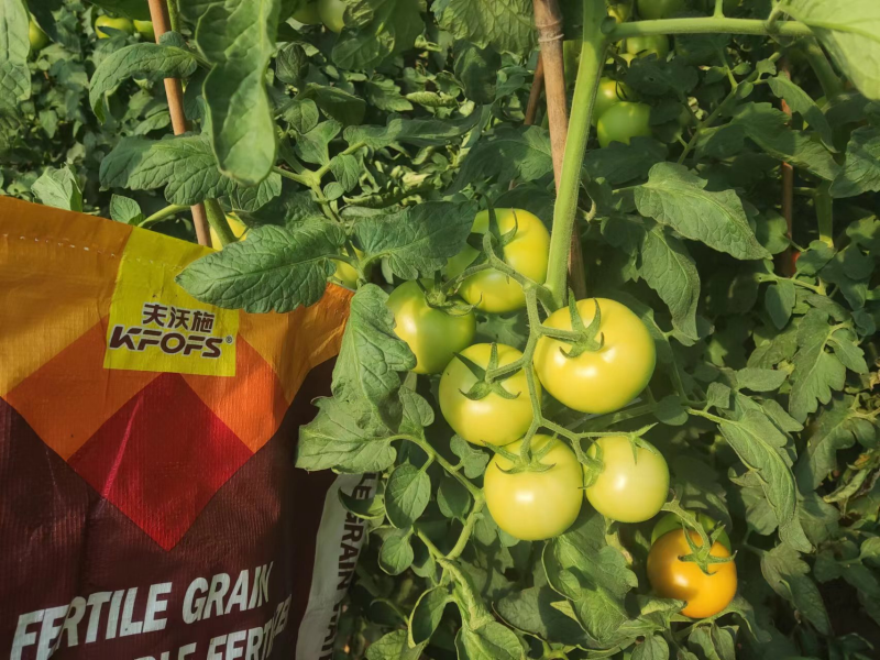 顆粒水溶肥效果怎么樣？