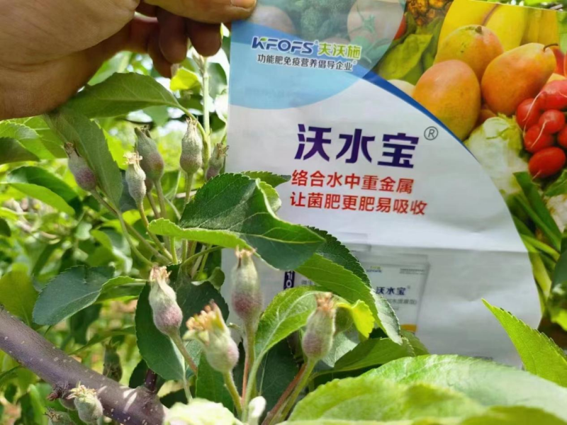 科學配比的水溶肥將會替代常規(guī)底肥