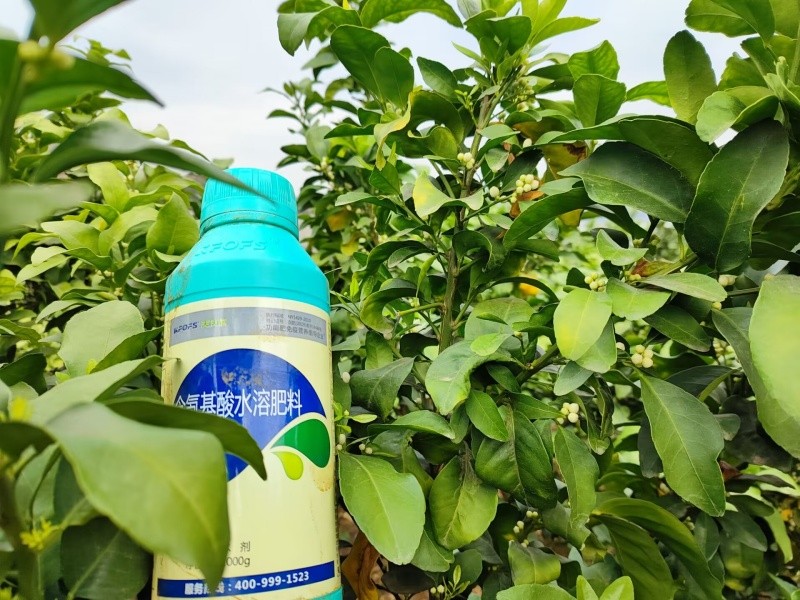 葉面肥你真的知道怎么用嗎？
