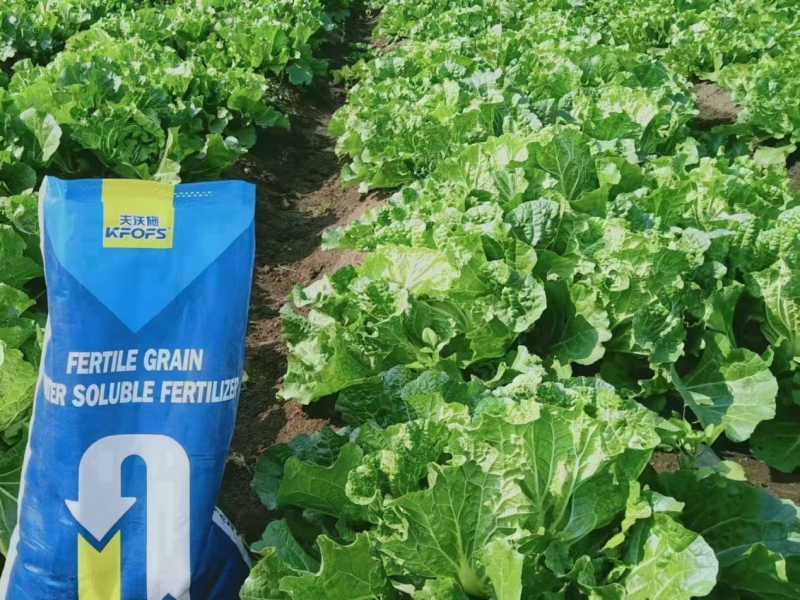 顆粒水溶肥哪家好？