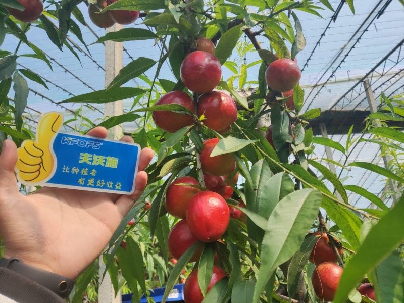 微生物菌劑的作用，你真的了解嗎？