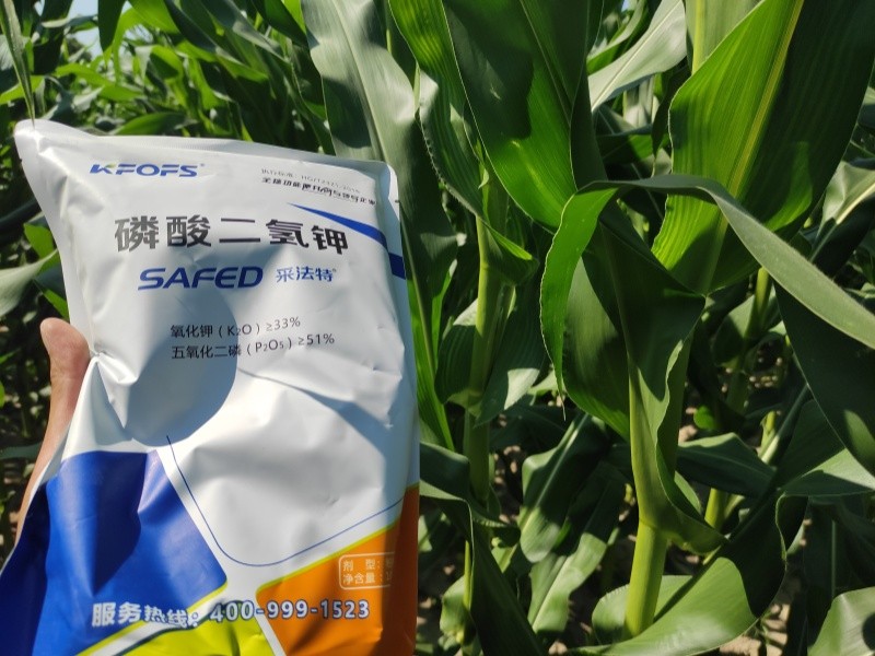 磷酸二氫鉀這樣選，錯不了