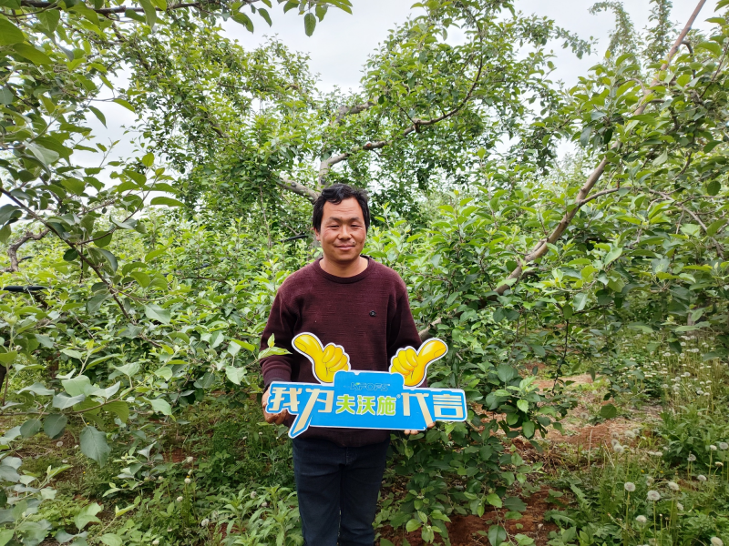 大量元素水溶肥怎么用效果好？