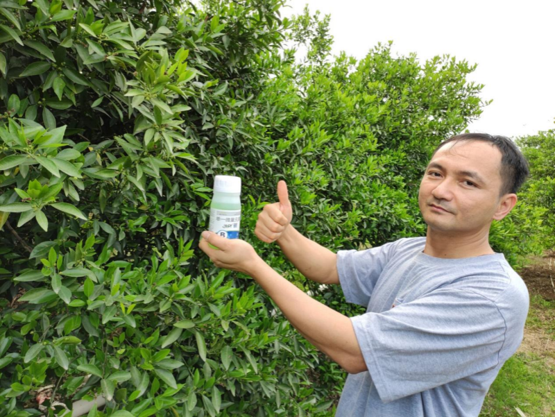 柑橘用什么肥料好？