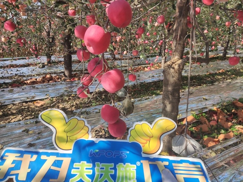 葉面肥你會用嗎？