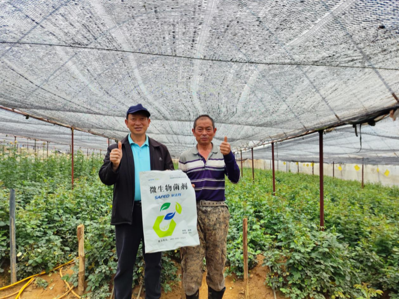 玫瑰花施肥施什么肥料？