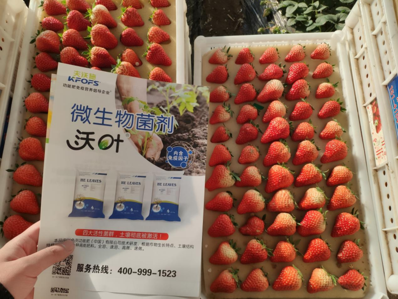 改良土壤的管理科學方法 改良土壤的管理科學方法