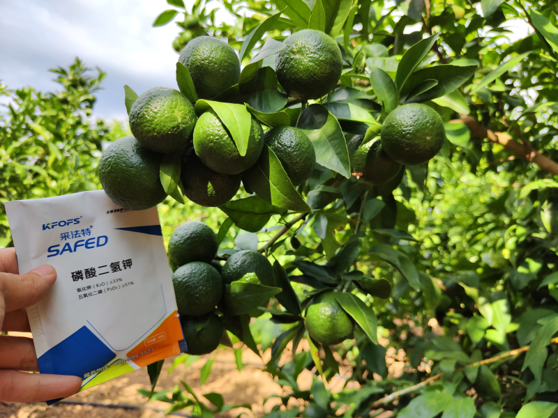 磷酸二氫鉀的作用及使用方法及注意事項