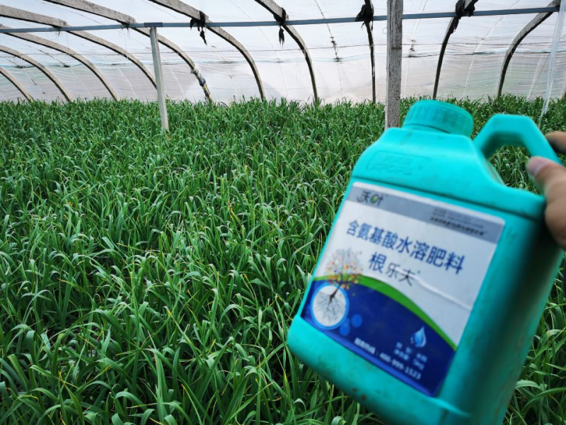 大蒜沖施肥用什么肥料好？