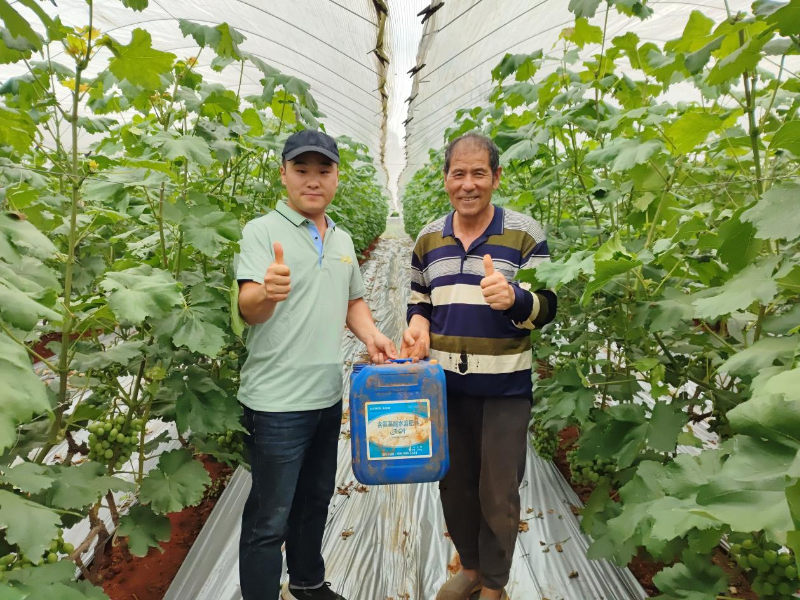 葡萄樹施什么肥&mdash;用戶見證.png