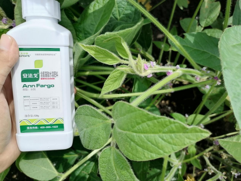 防患于未然：論除草劑藥害如何解決和預防