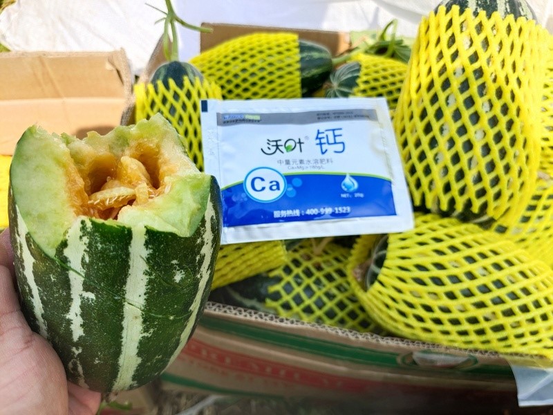 鈣肥這樣用，效果更好