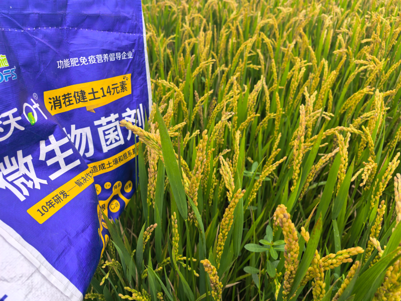 什么肥料能讓土壤變松？